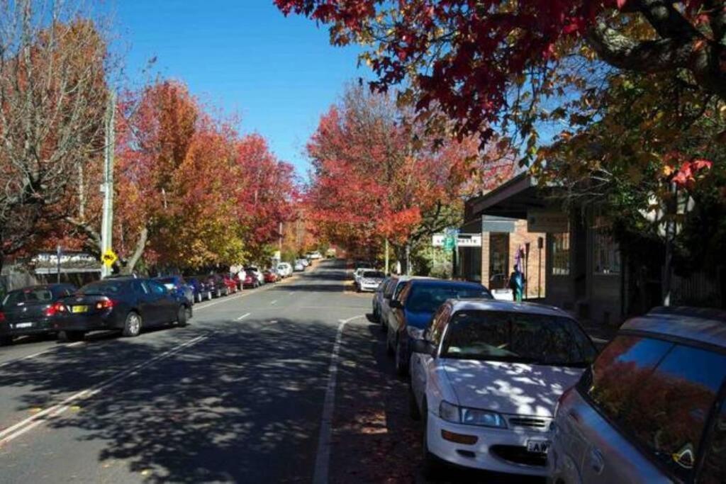 Nuach Cottage - Beautiful Family Home In Leura Exterior photo